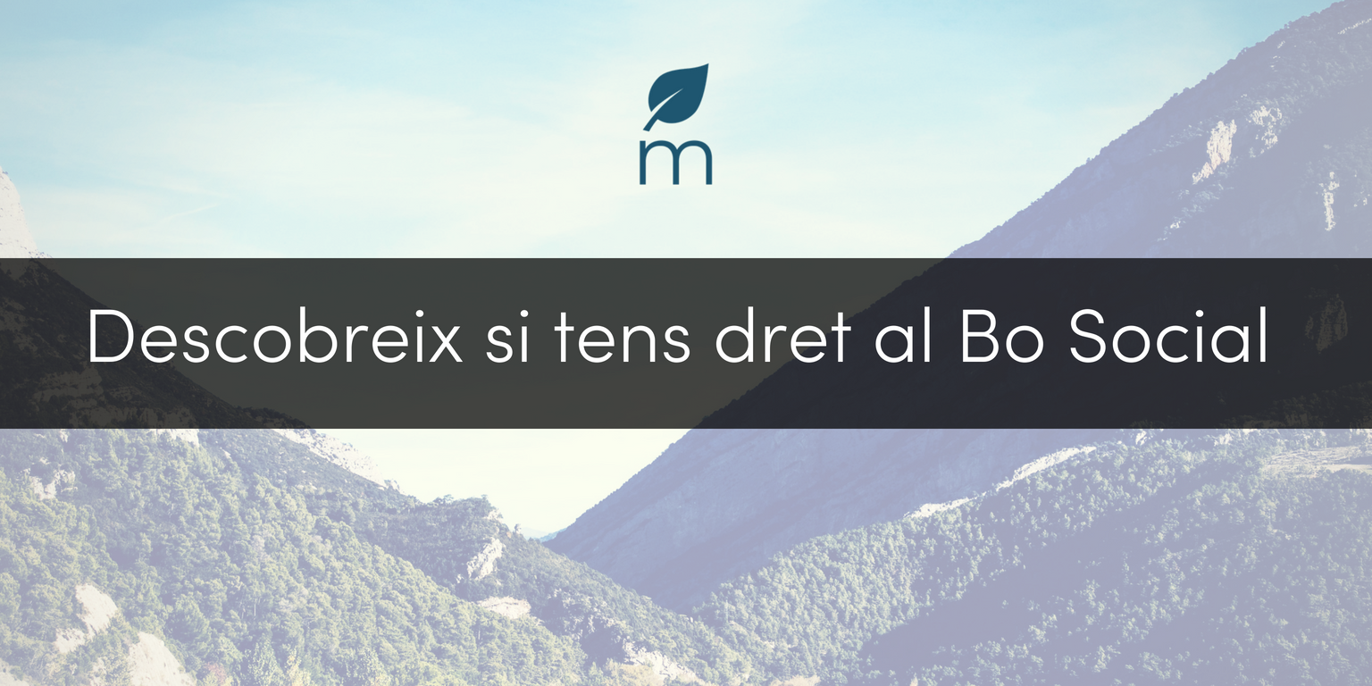 Descobreix si tens dret al Bo Social.png