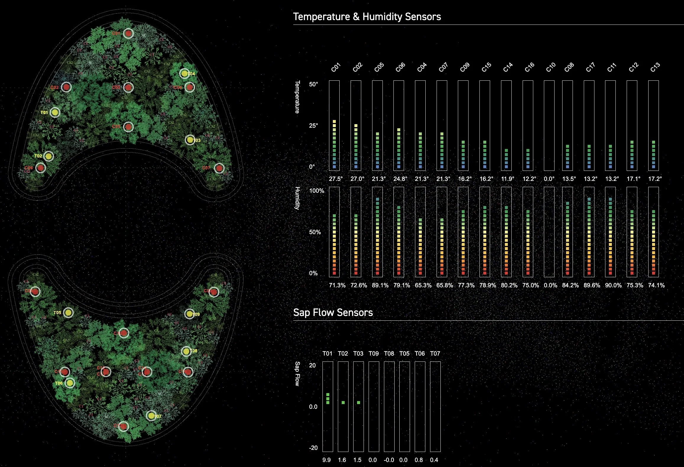 Cool Forest Screen SHot.jpg