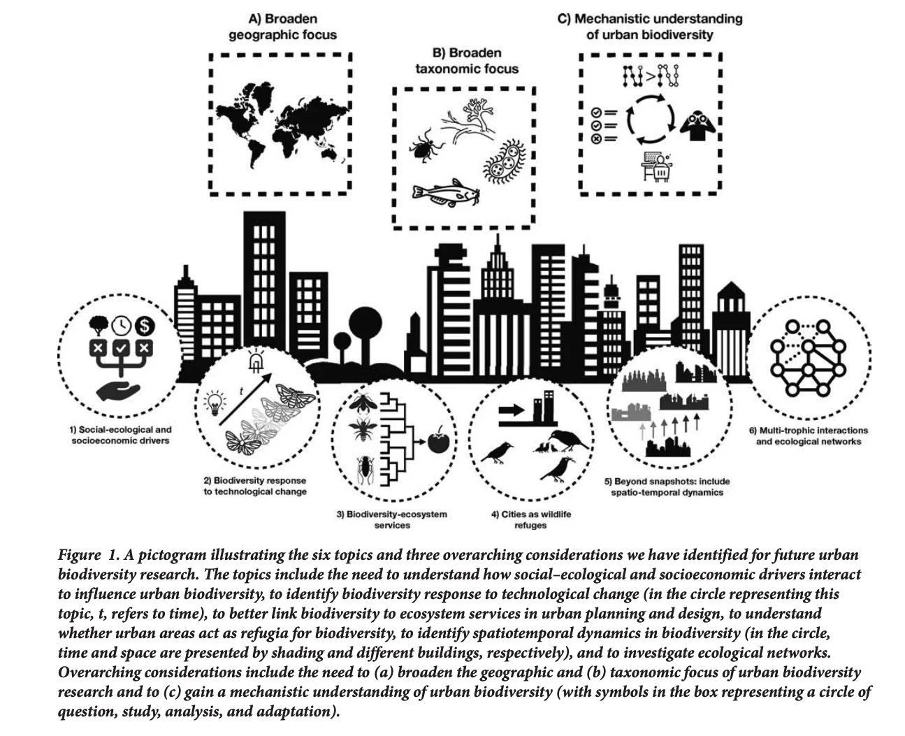 Urban Biodiveristy _fig1.jpg