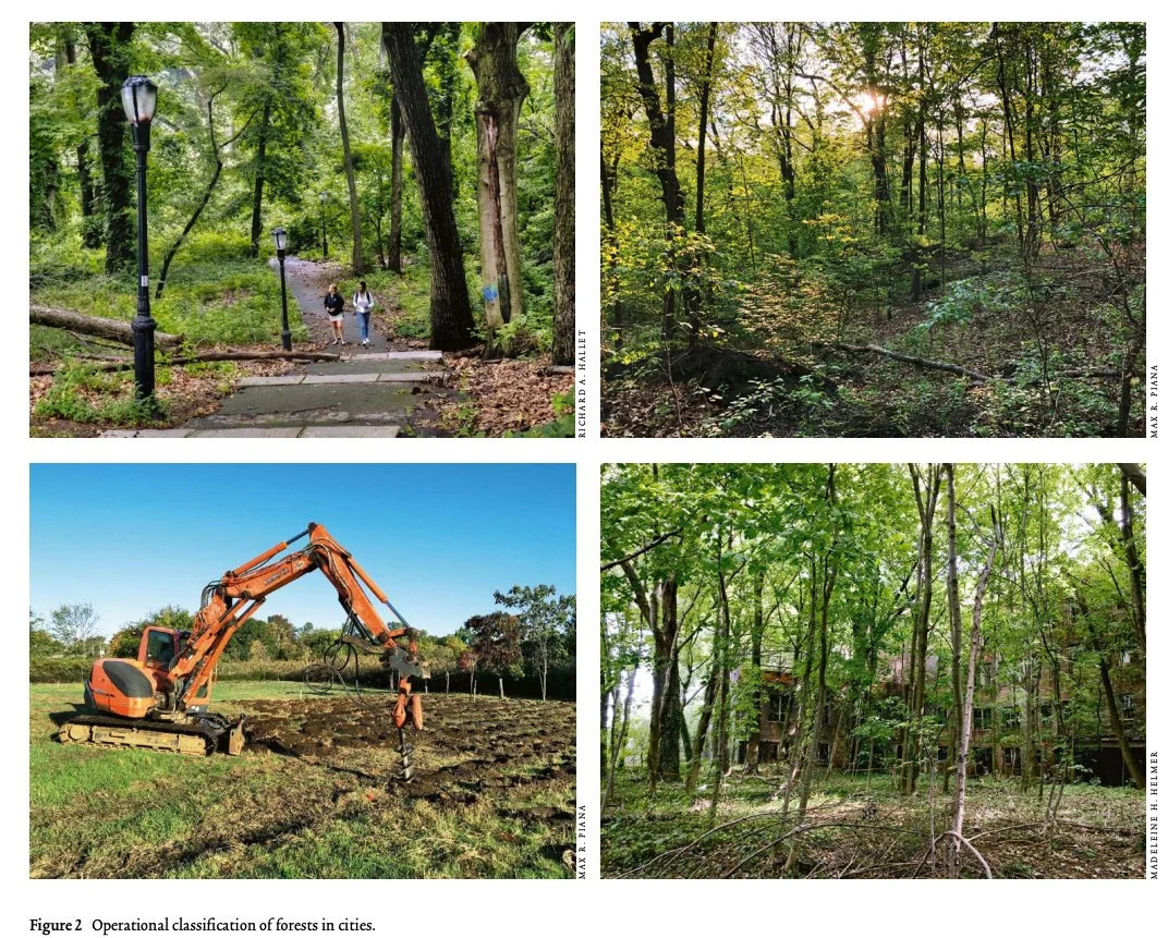 Forestsincities.jpg