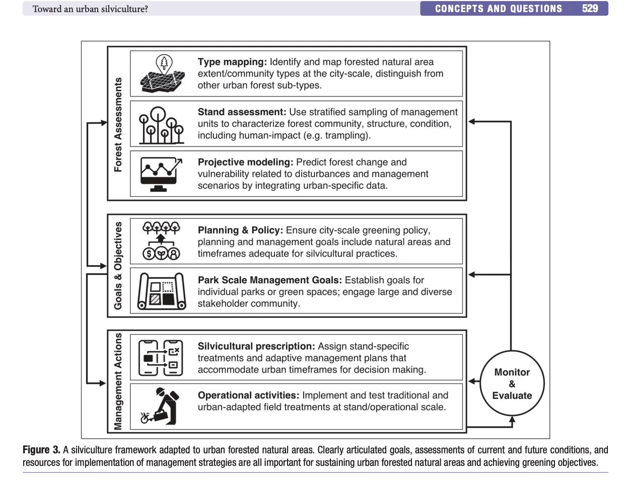 Silviculture Framework.jpg