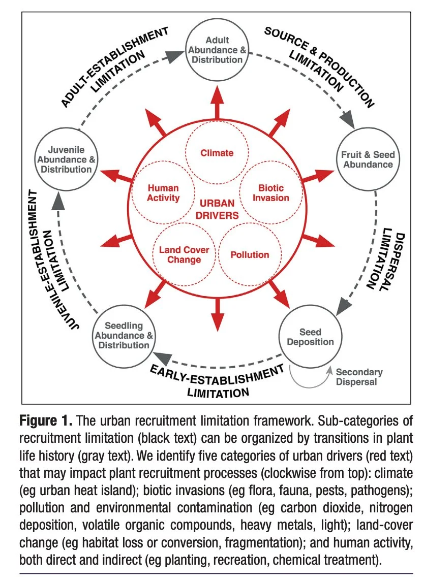 Urban Recruitment.jpg