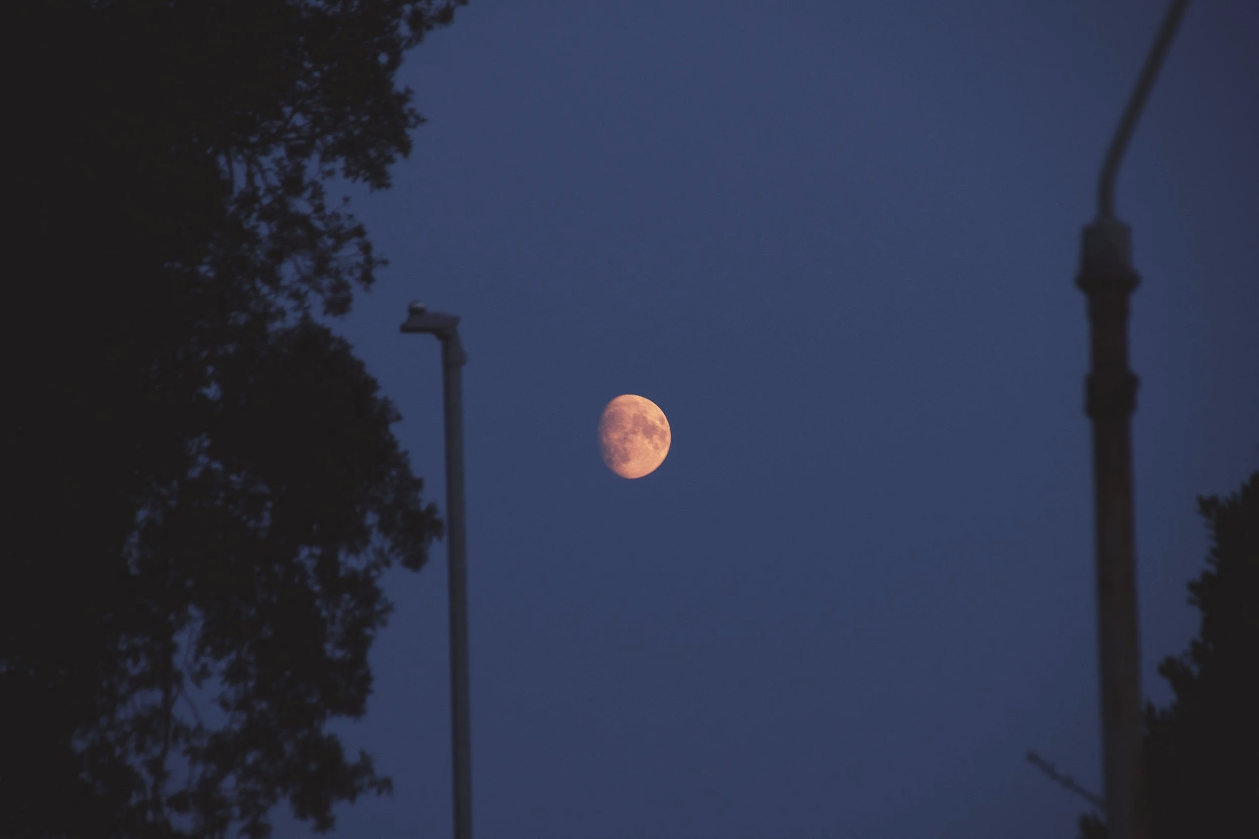 DSC08761_VSCO.png