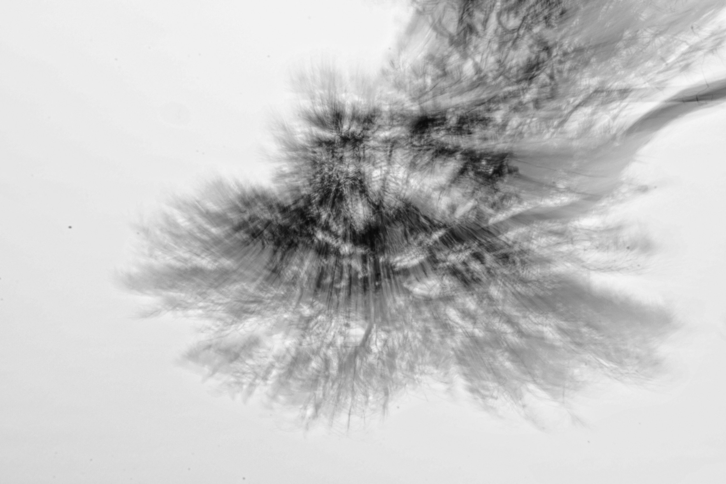 2024-02-19%2015.44.18_VSCO 2.JPG