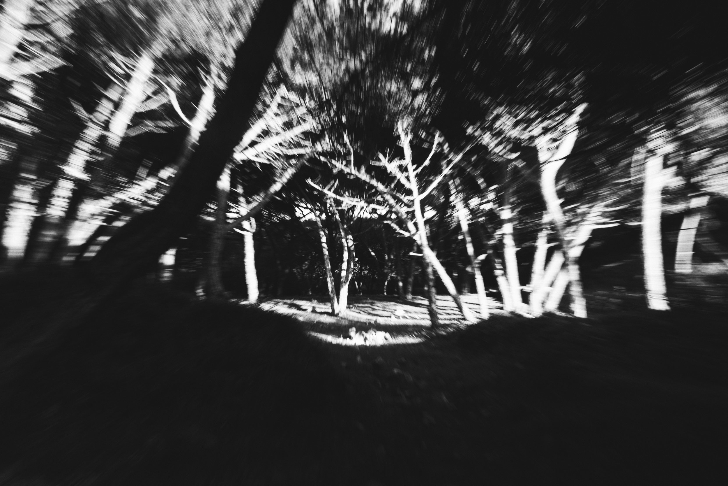 2026-01-13%2018.32.17%202_VSCO 2.JPG