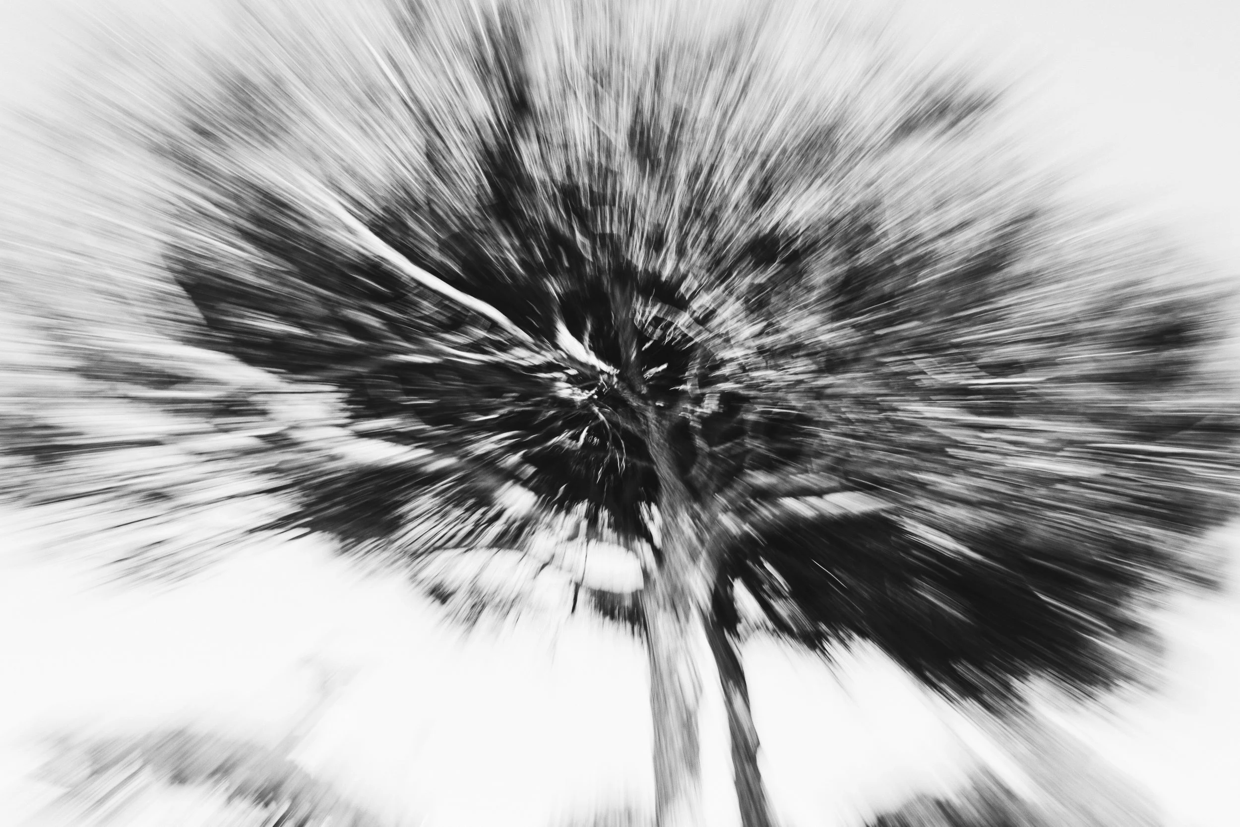 2024-02-26%2016.02.23-2_VSCO 2.JPG