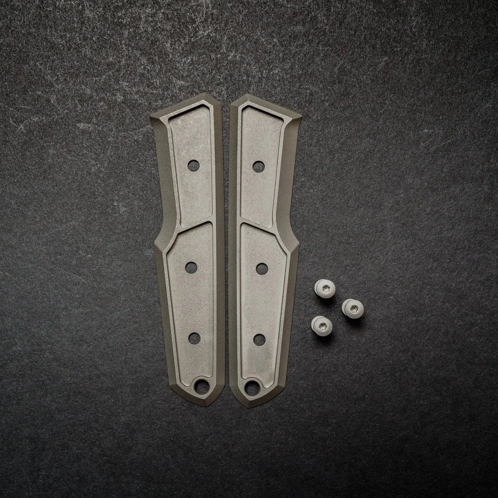 Titanium Frame / Hardware
