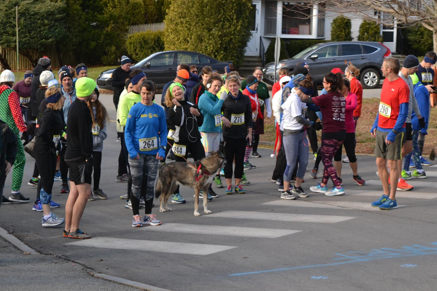 Frosty 5K Ushers in Holiday Season