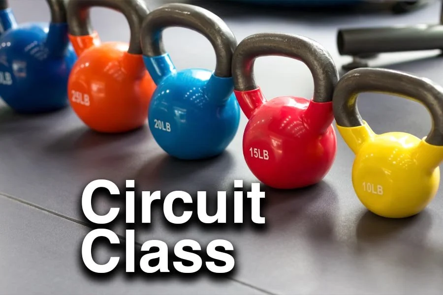 Circuit Class