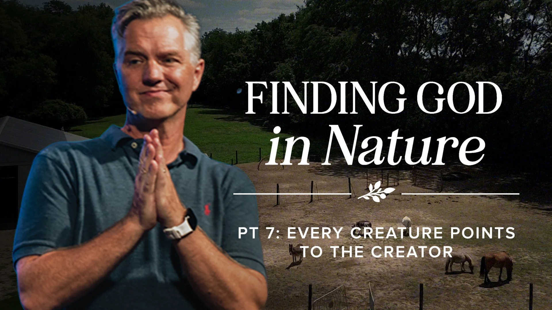 Finding God in Nature PT 7: Every Creature Points to the Creator – Animals