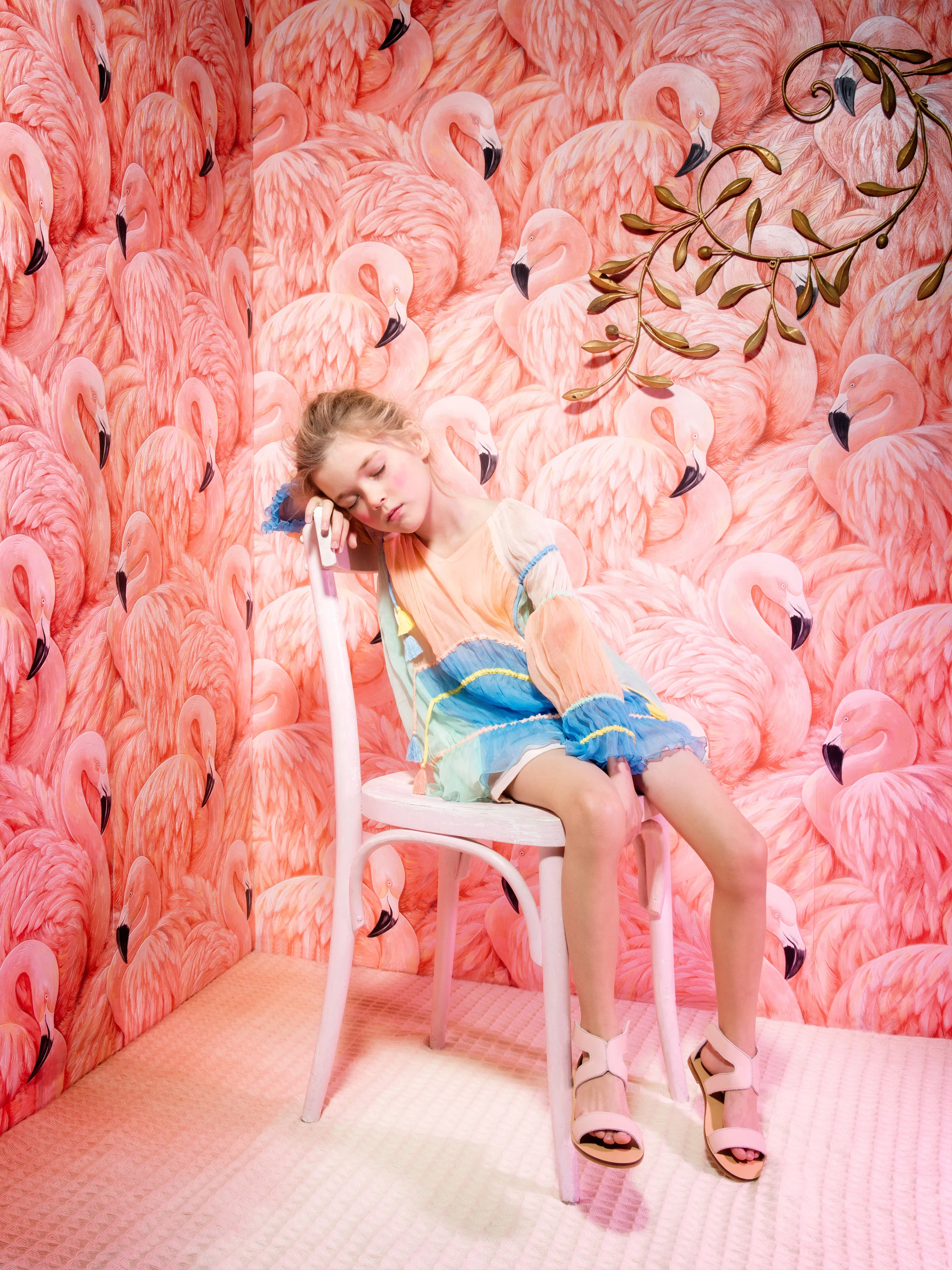 Flamingo1_235-314-1.jpg