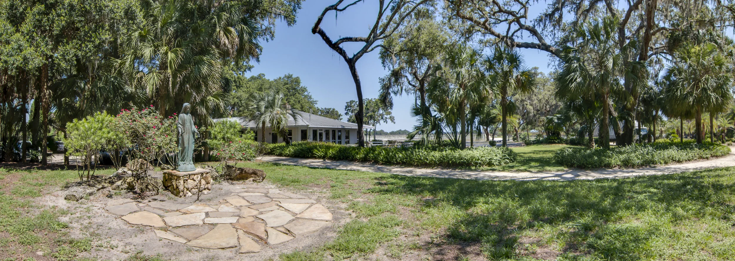 Tree Farm 1_Panorama1.jpg
