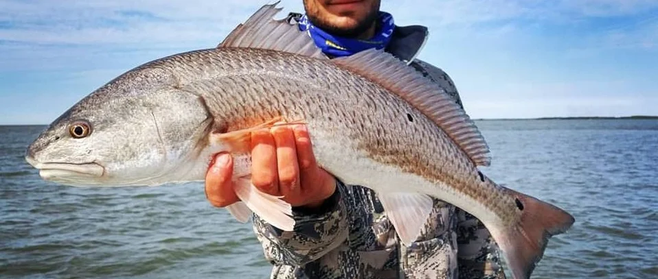 Wills redfish.jpg