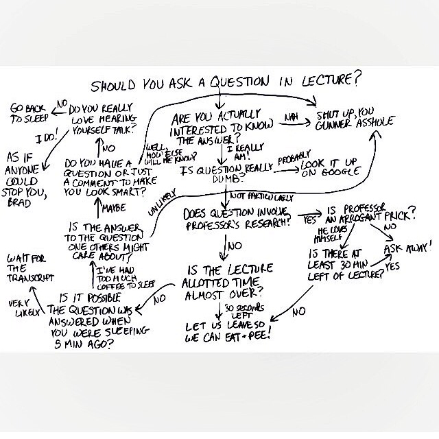 NO STUPID QUESTIONS