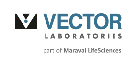 Vector_Logo_280x124pxl_96dpi.jpg