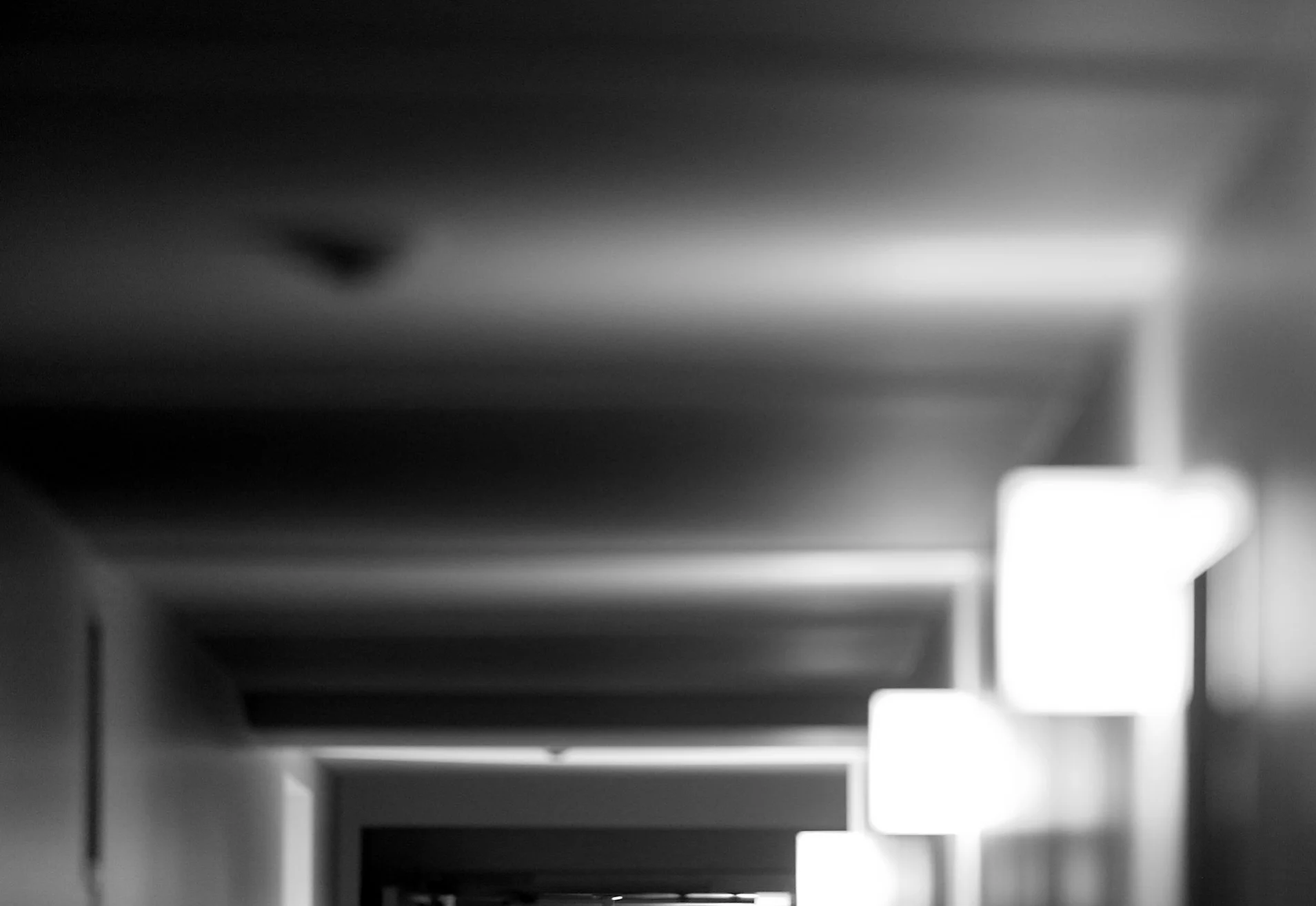 light16.jpg