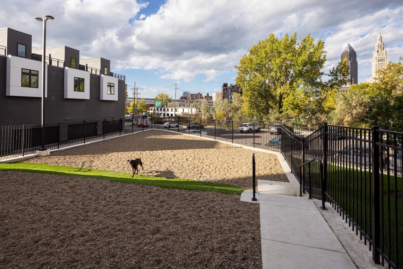 Dog park at The Collins residential community in Cleveland, featuring landscaped pet amenities, pedestrian walkways, and views toward the downtown skyline.