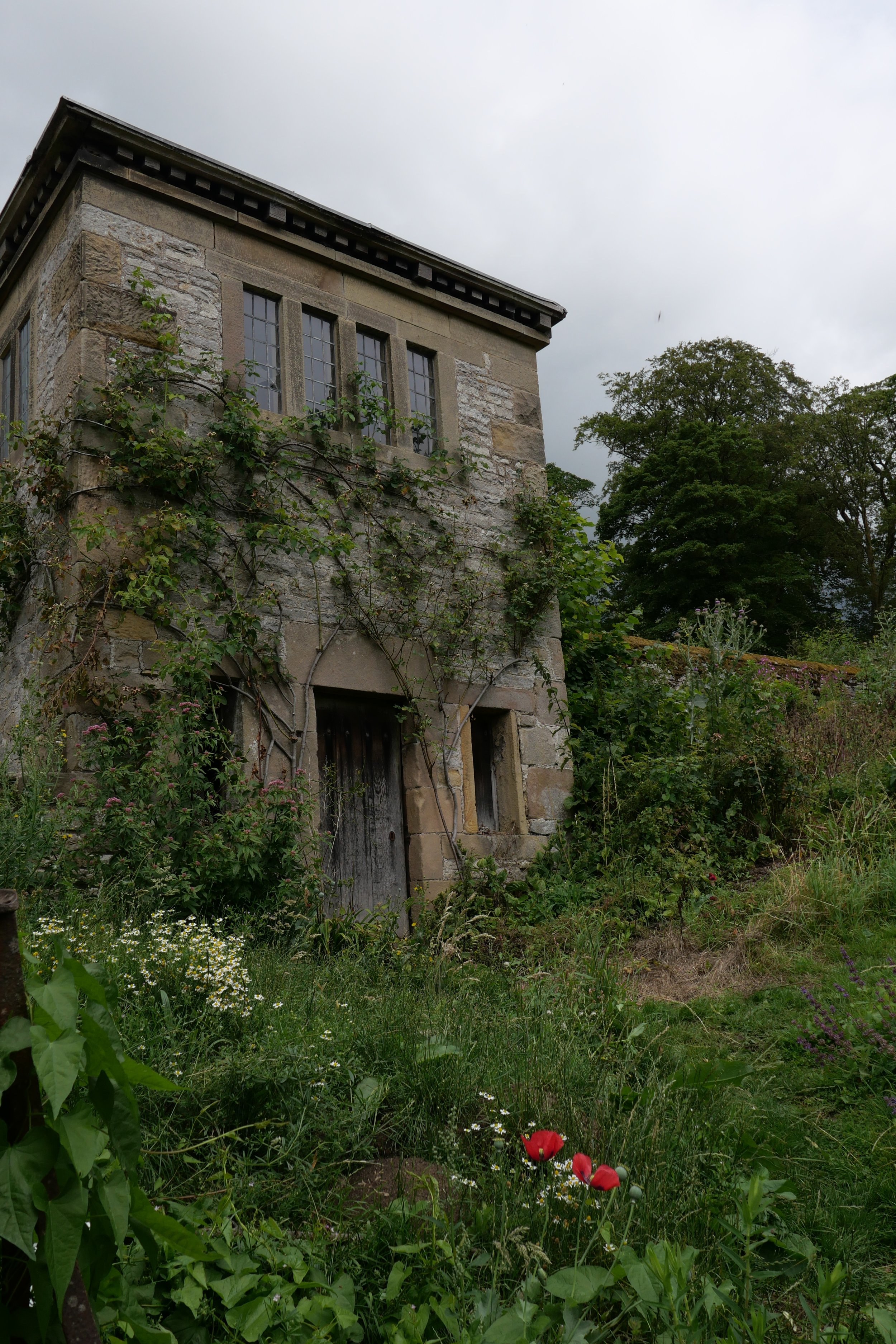 L1131827.JPG
