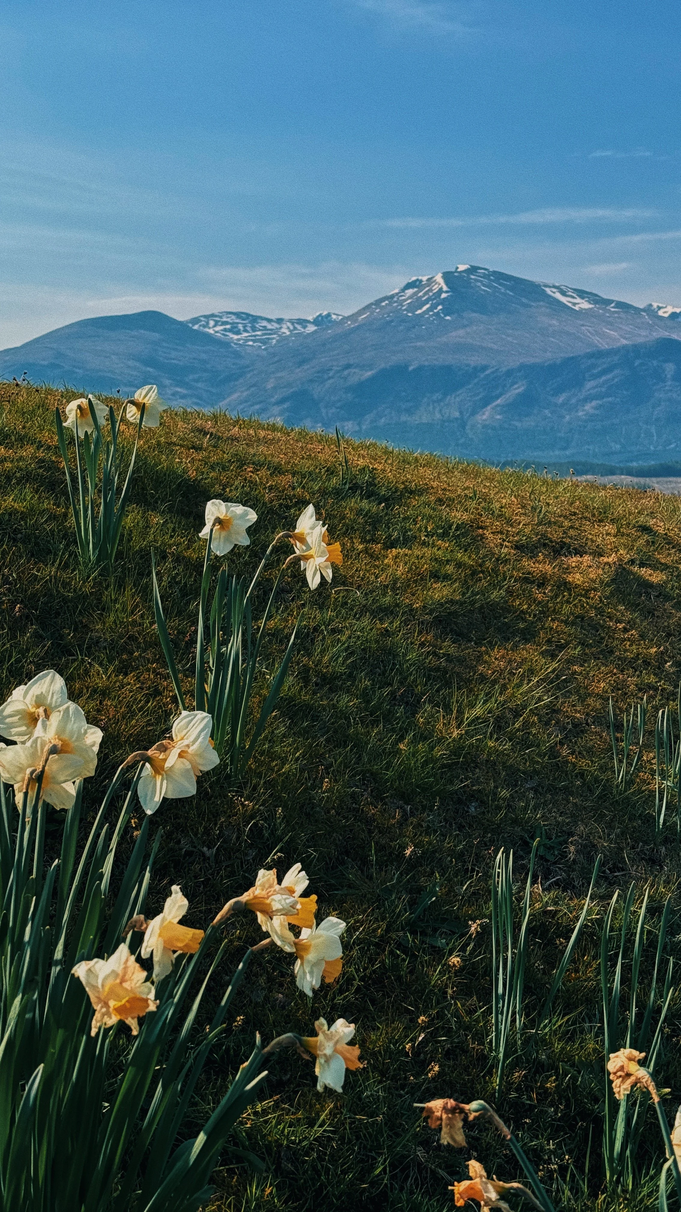 FullSizeRender_VSCO 201.JPG