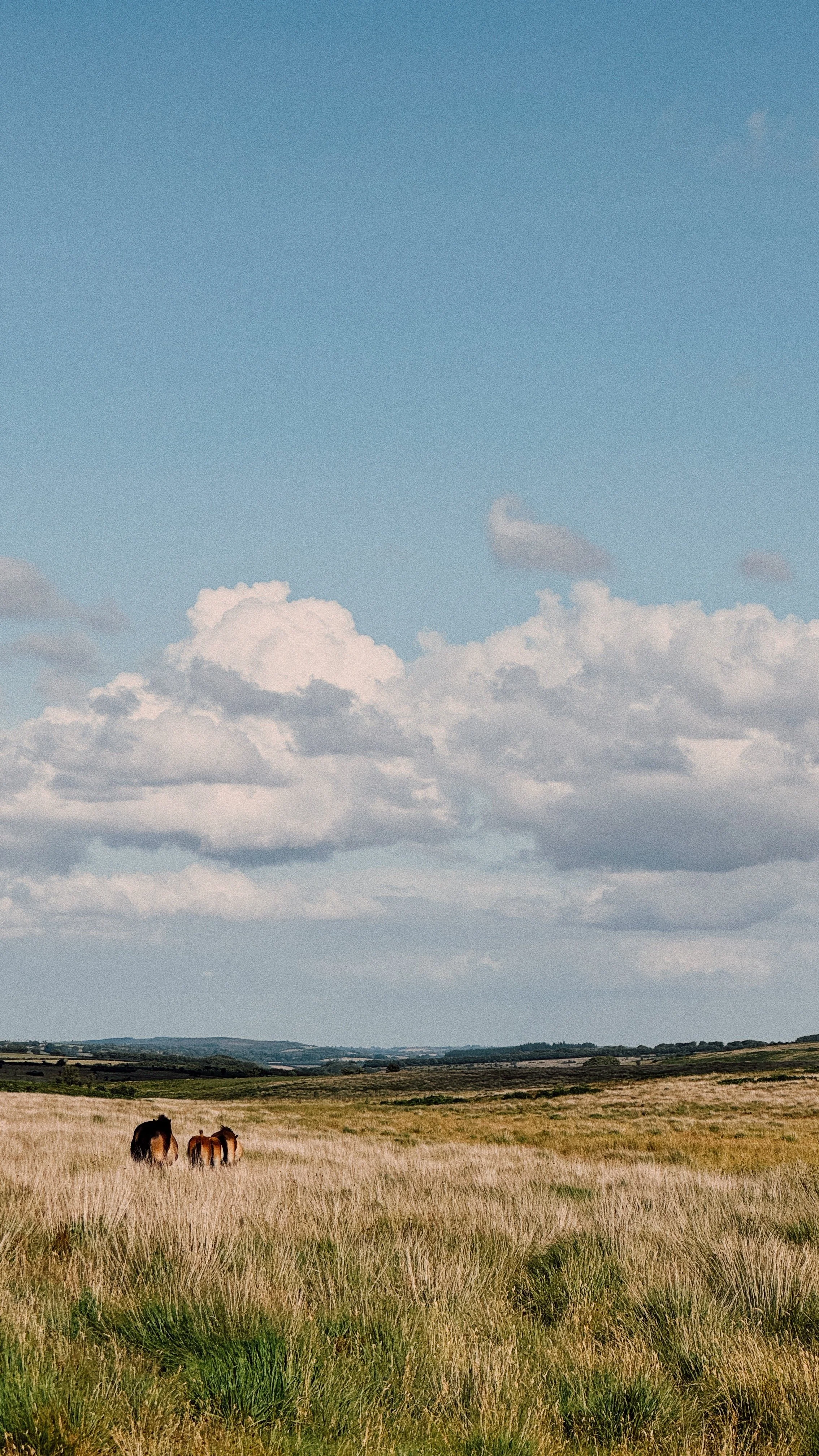 FullSizeRender_VSCO 379.JPG