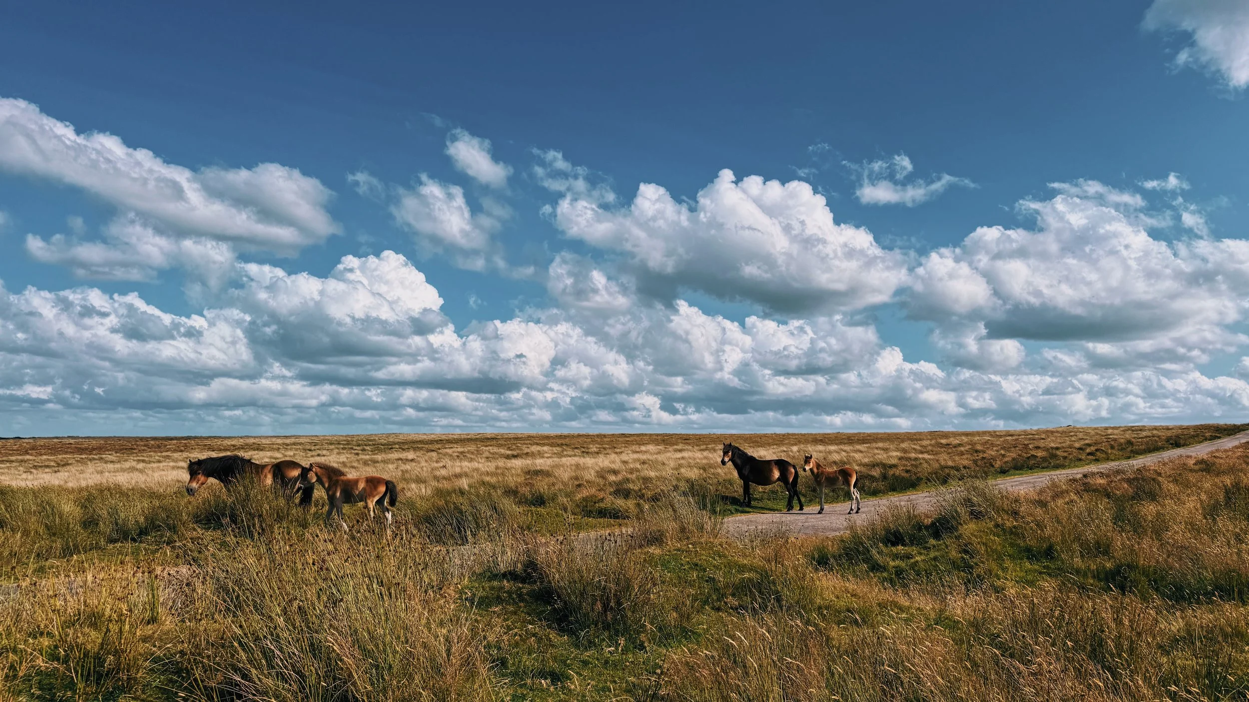 FullSizeRender_VSCO 367.JPG