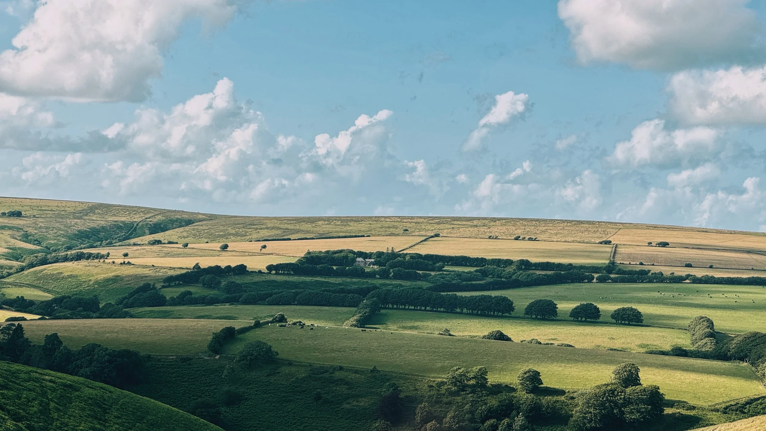 FullSizeRender_VSCO 369.JPG