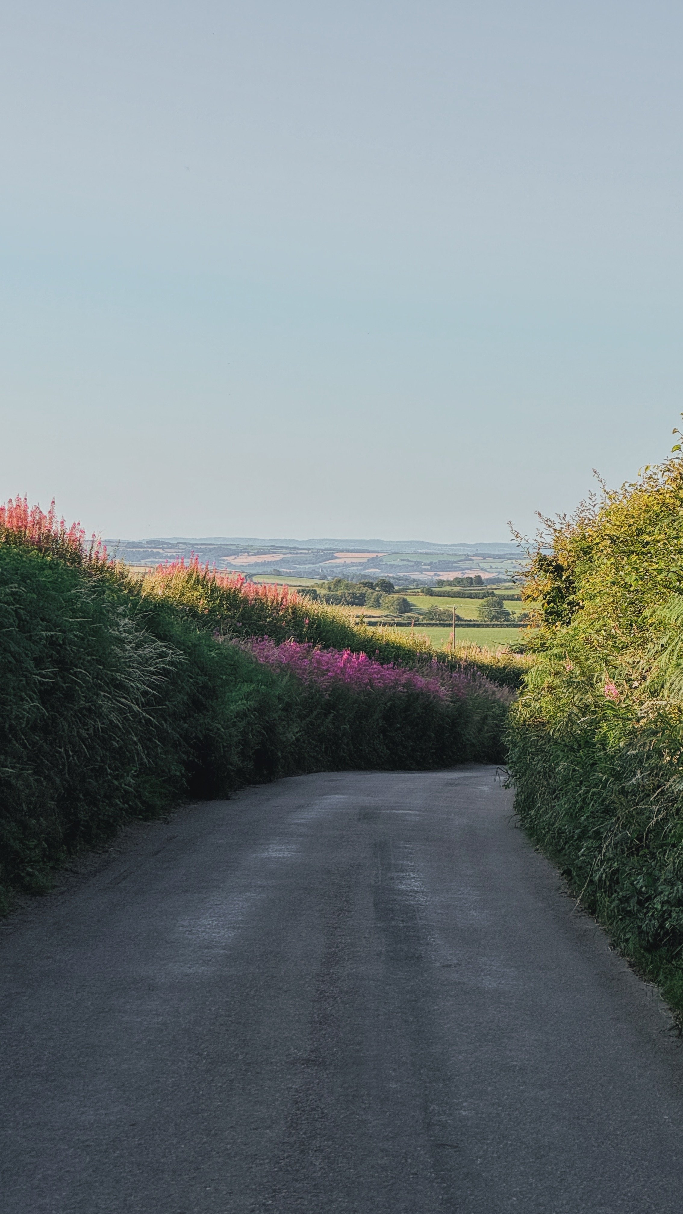 FullSizeRender_VSCO 372.JPG