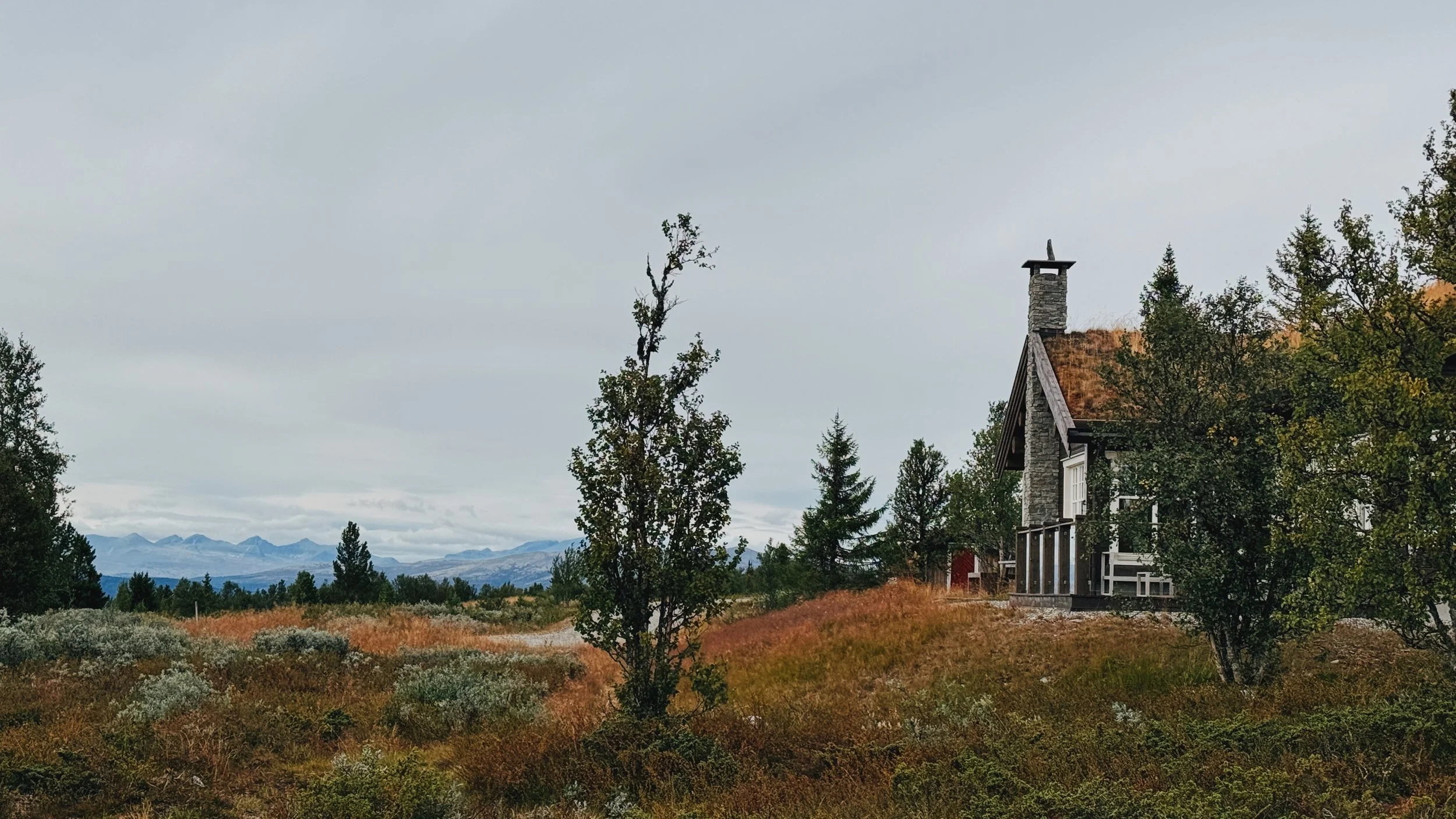 FullSizeRender_VSCO 543.JPG