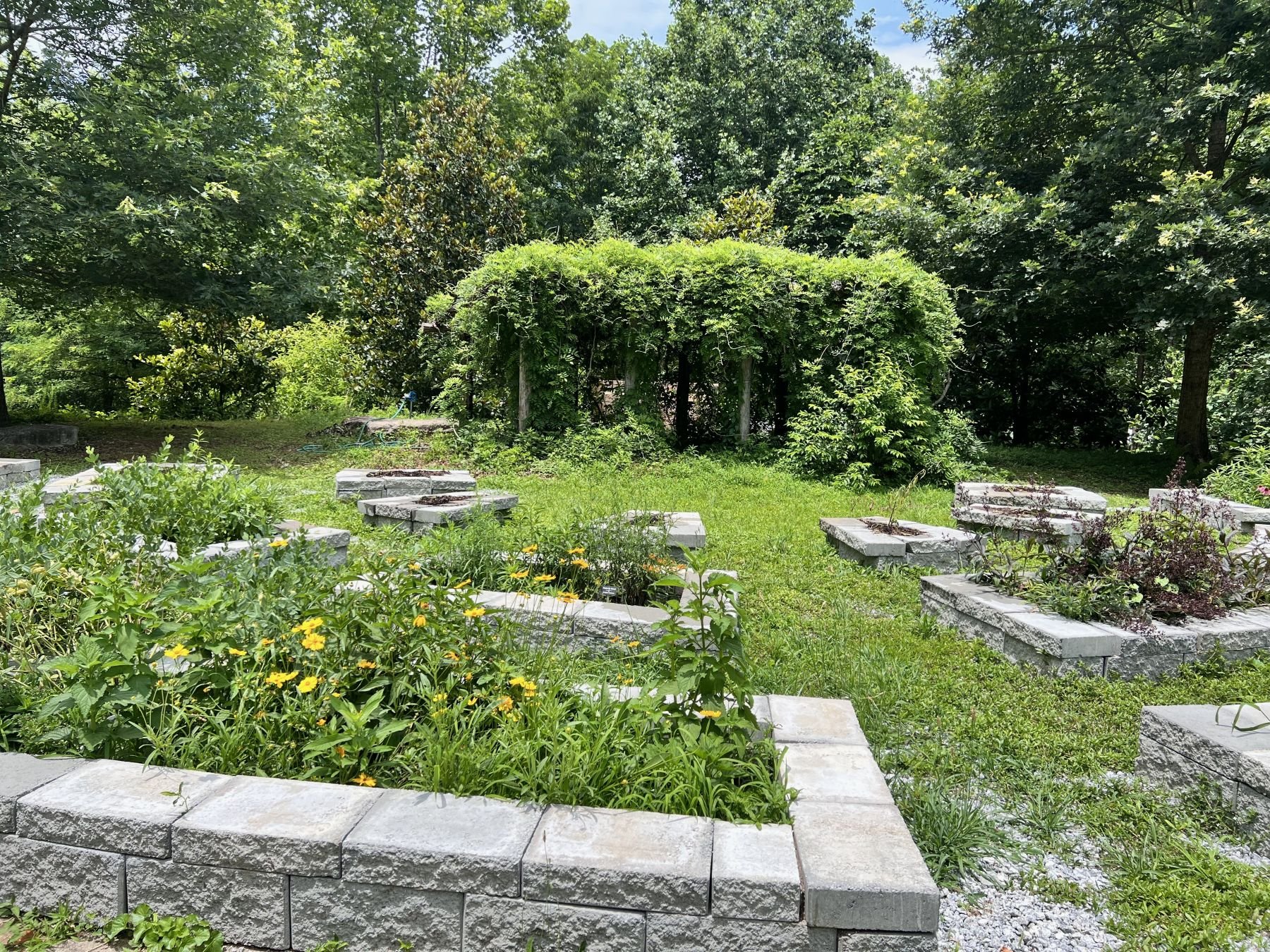 raised beds .jpg