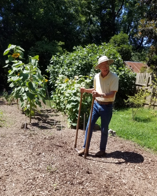 Tom using his broadfork in his late summer garden