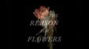 reasonforflowers.jpg