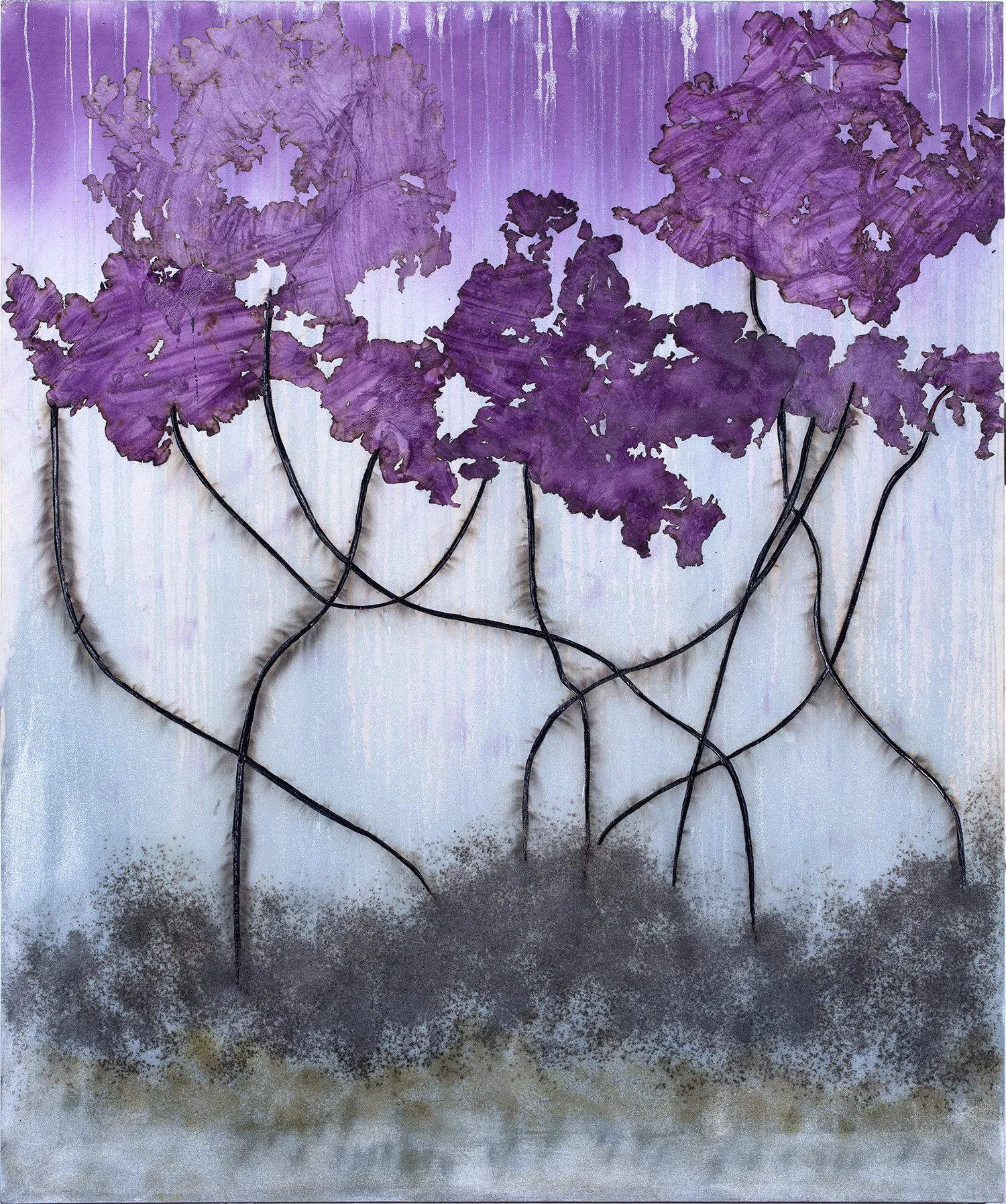 Magenta Mangrove, 2017