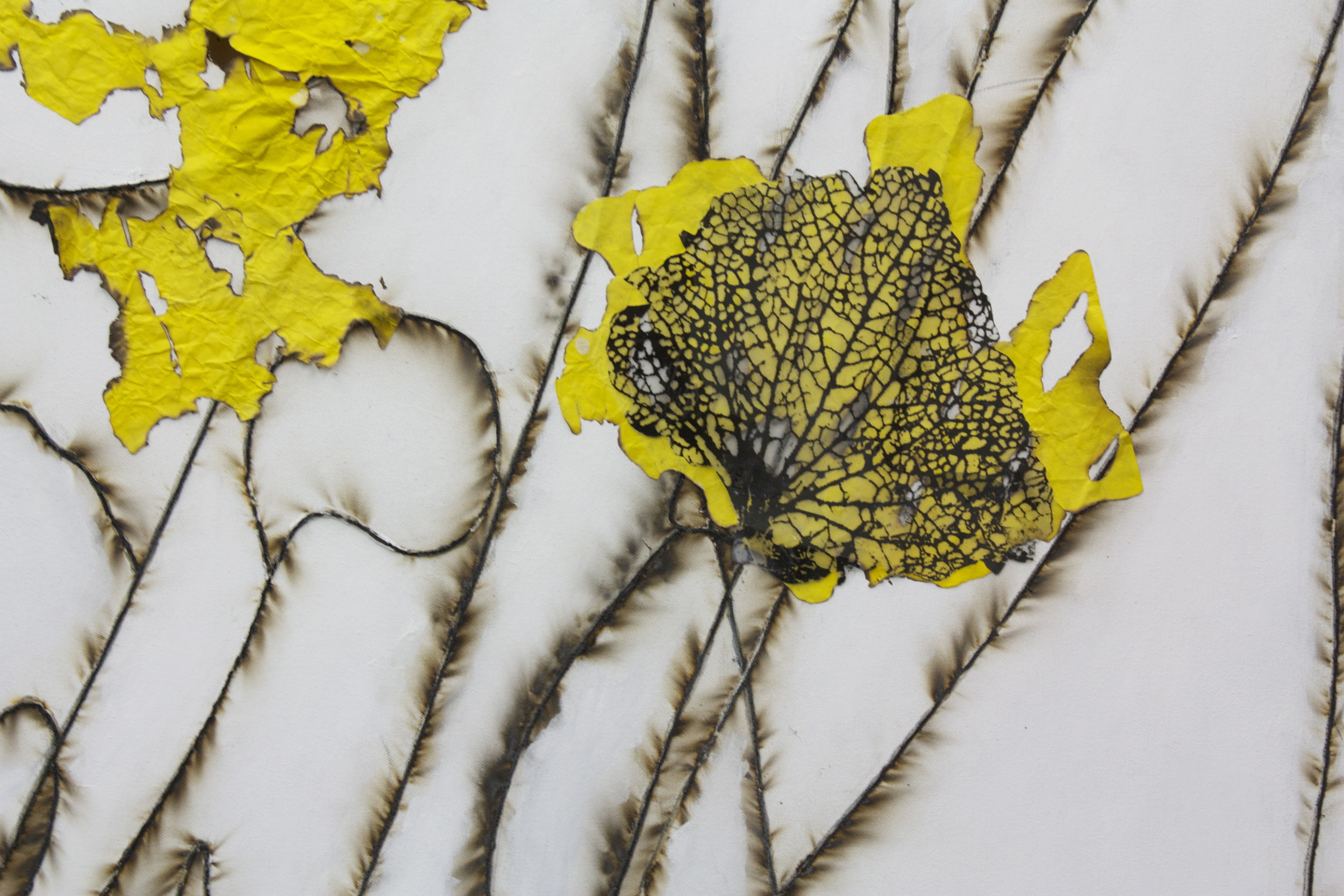 Sulfur and Ice (detail), 2011