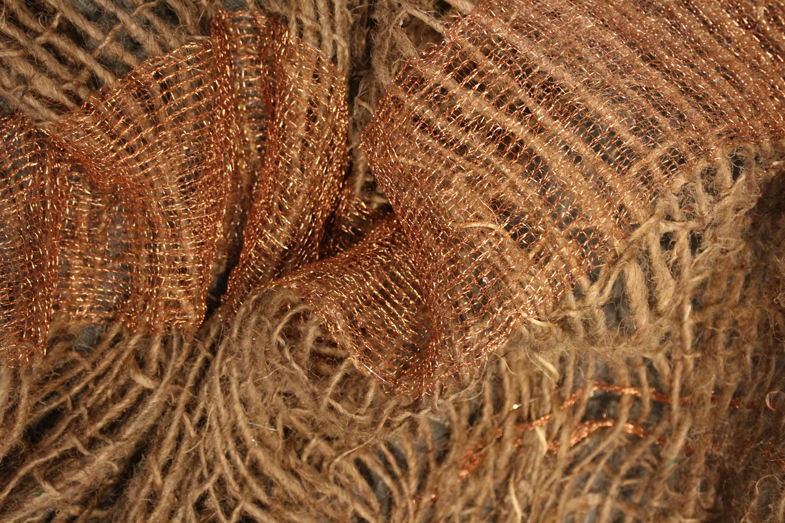 Diel Migration (detail)