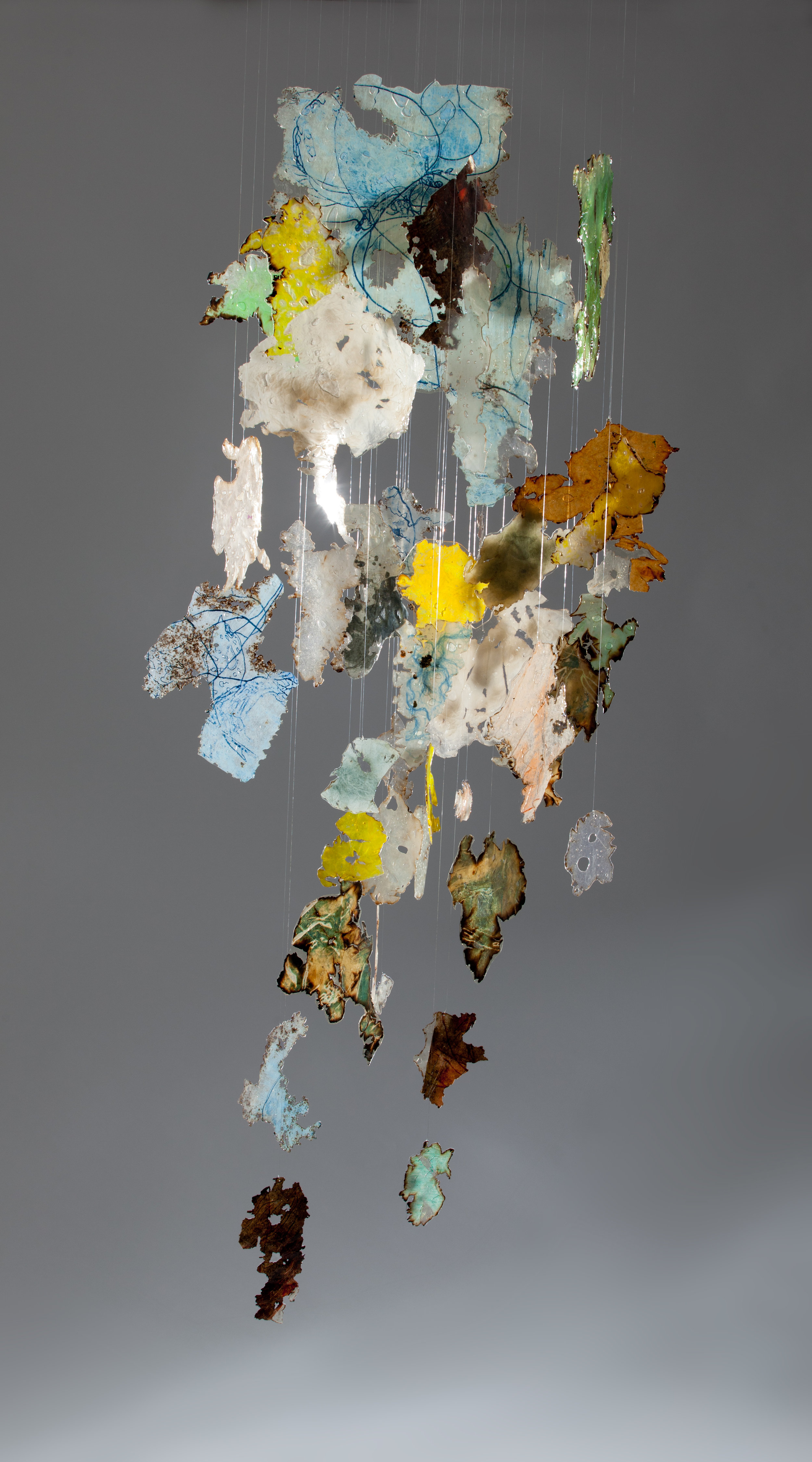 Indefinite Integral, 2011