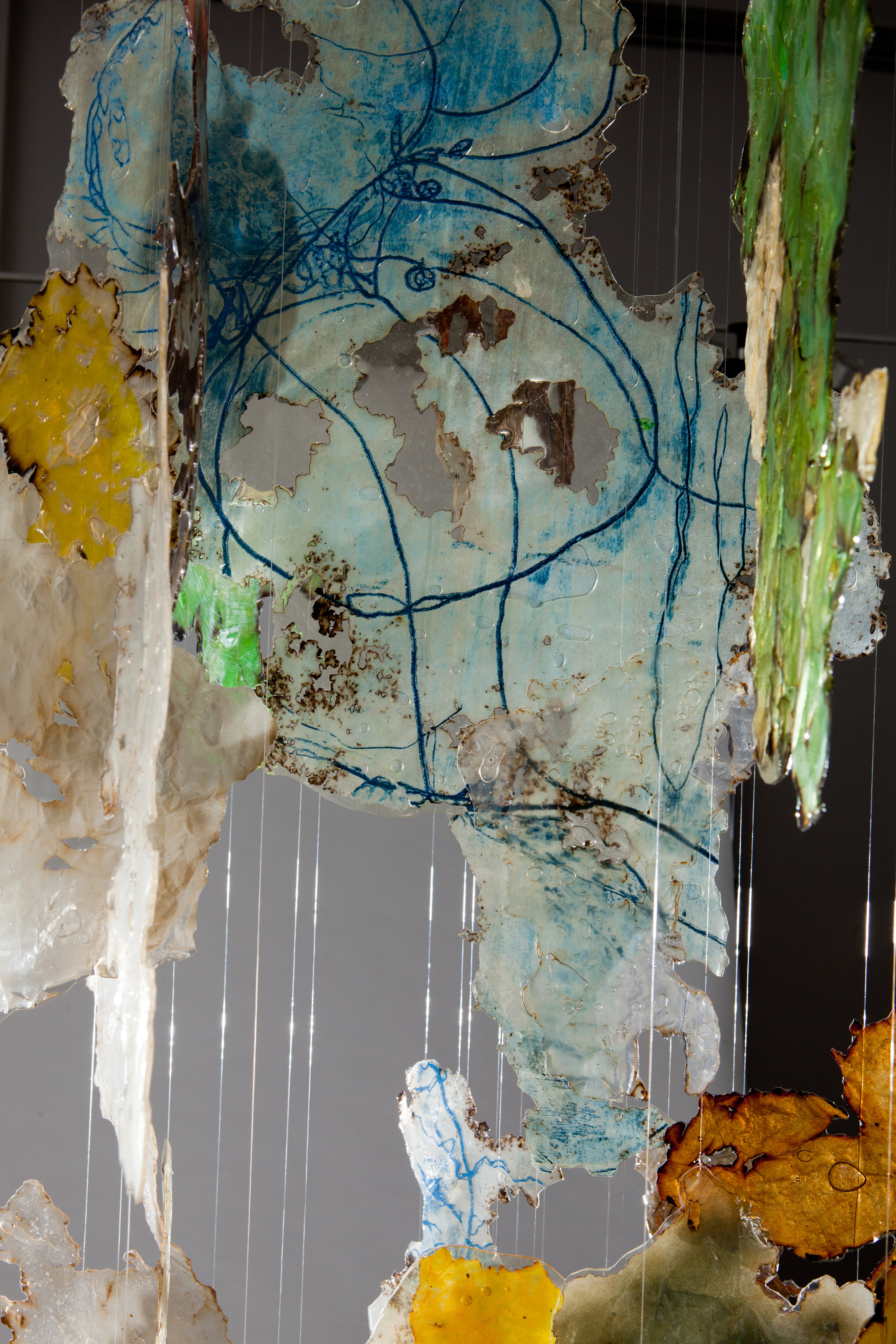 Indefinite Intergral (detail)