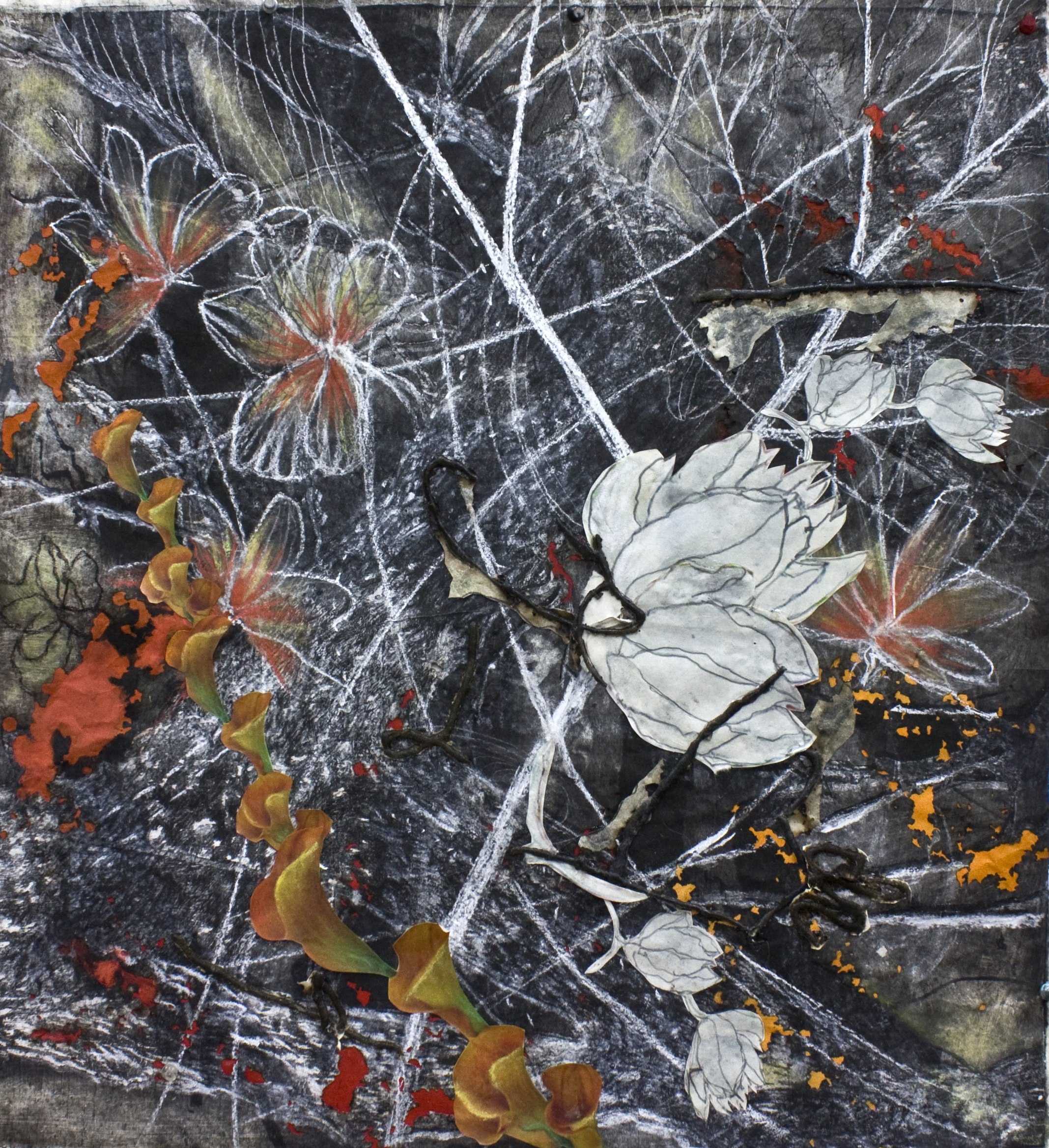 Paths of Pompeii, 2010