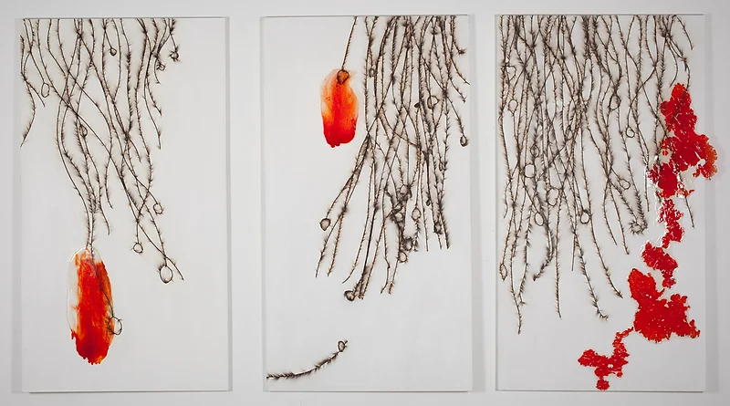 Frozen in the Fire, 2011