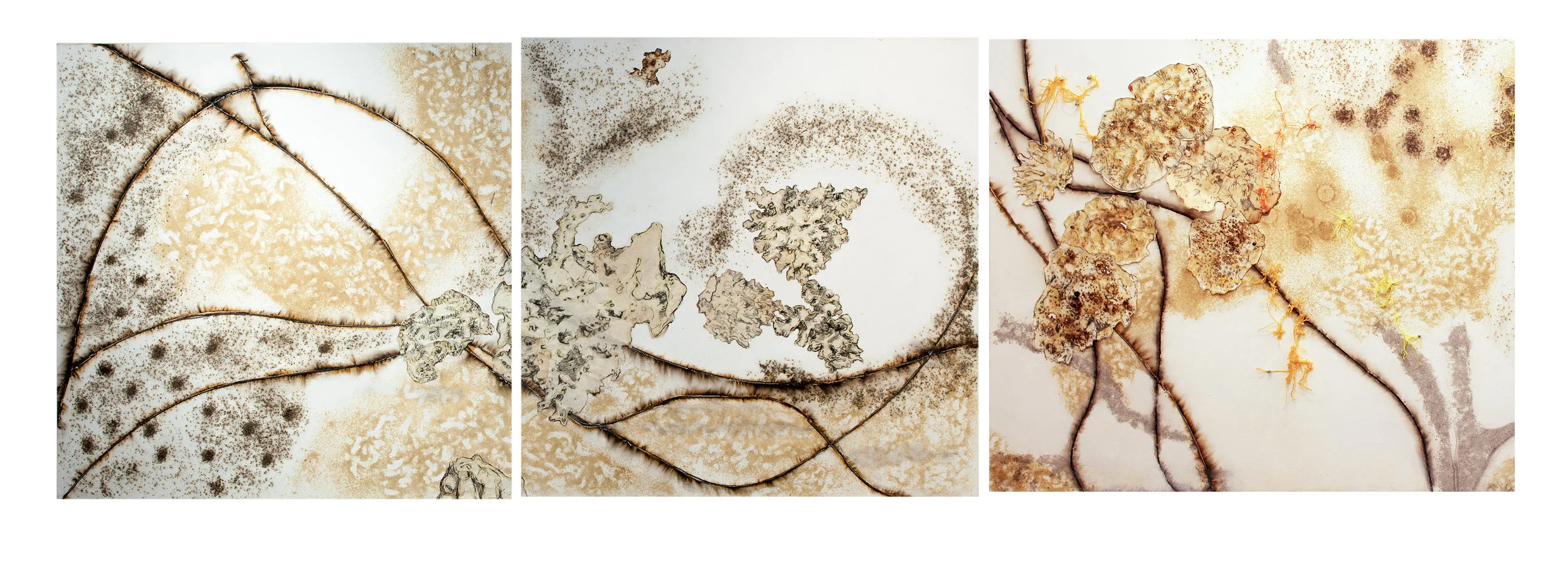 Beachwalk I,II and III, 2013