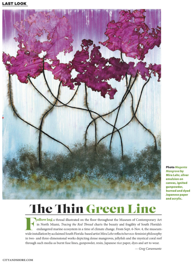 Screen Shot 2018-09-10 at 3.33.03 PM.png