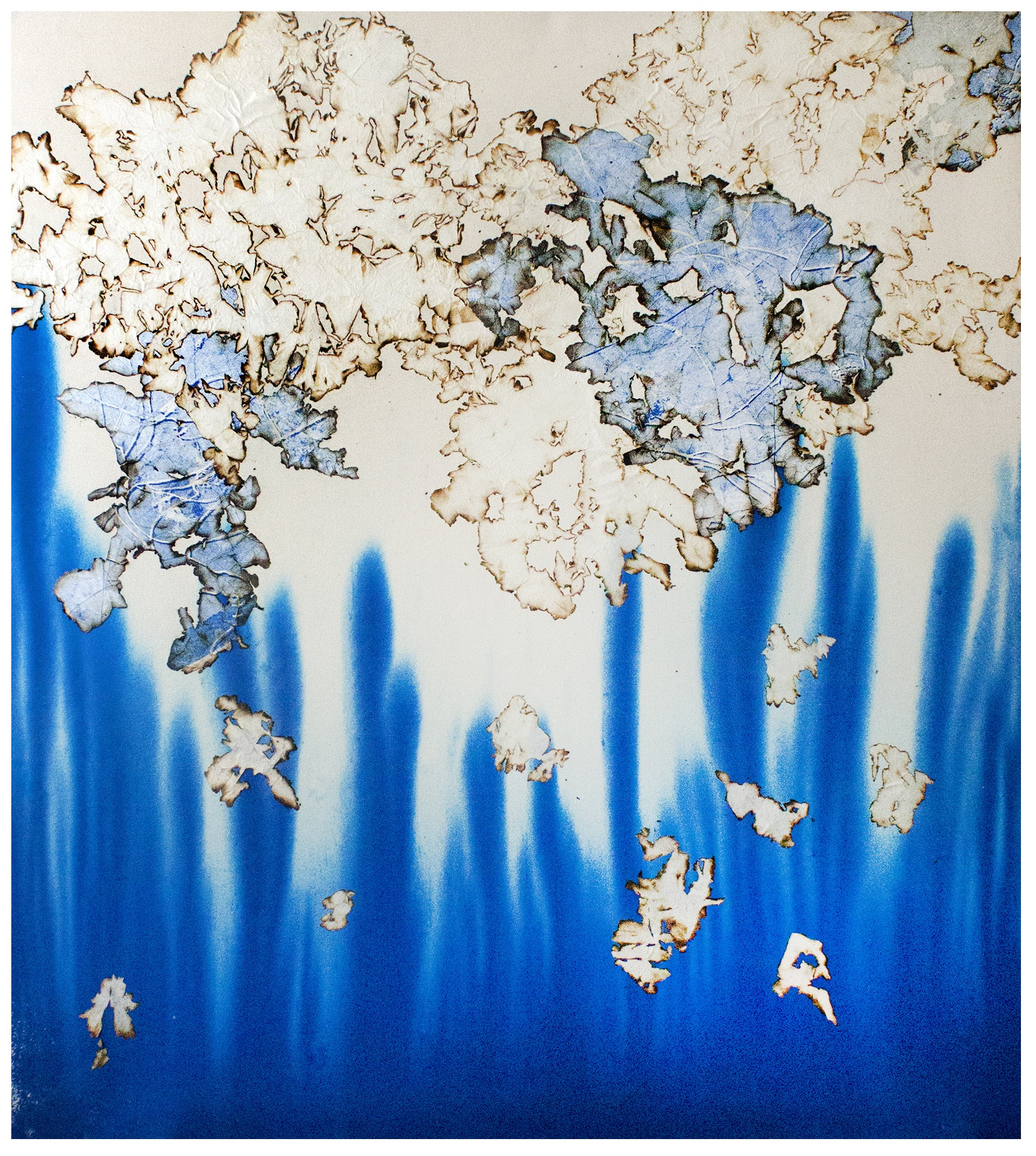 The Way of the White Clouds, 2019