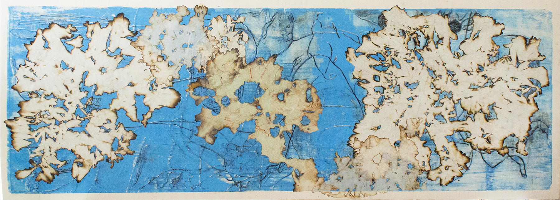 Mangroves from Above (Blue), 2019