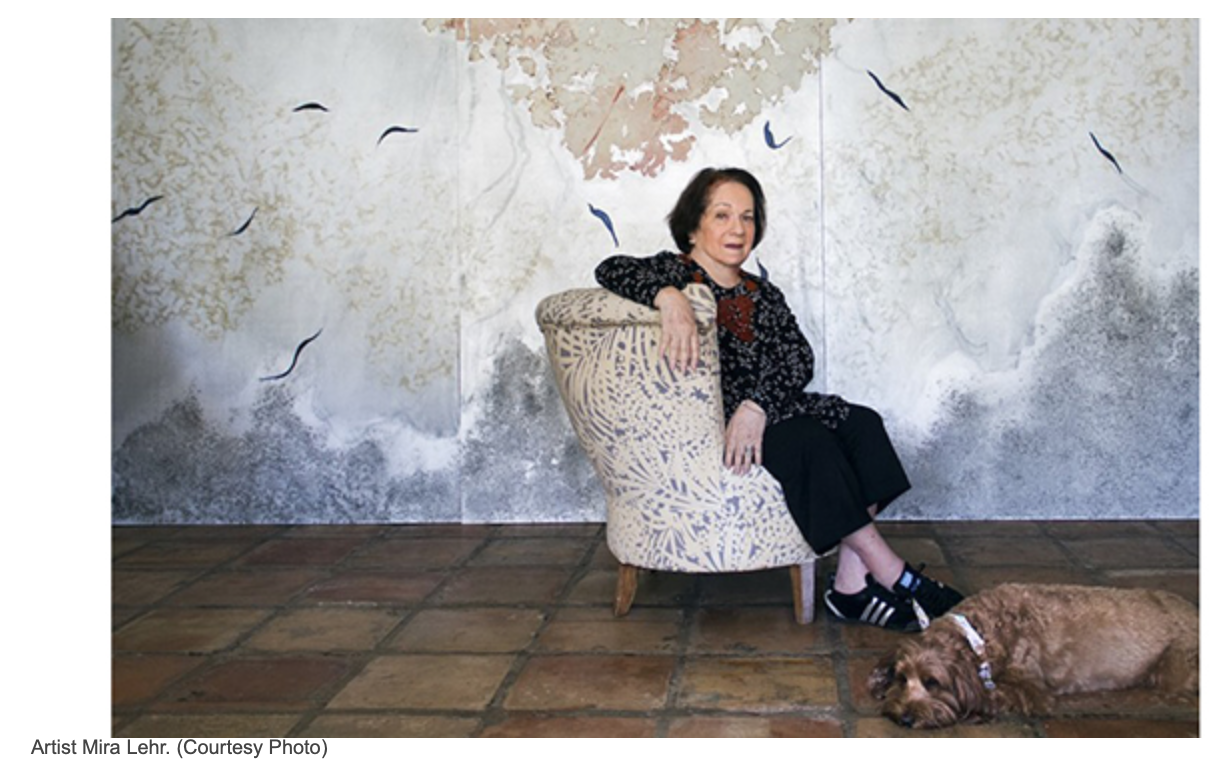 Screen Shot 2019-10-16 at 2.05.04 PM.png