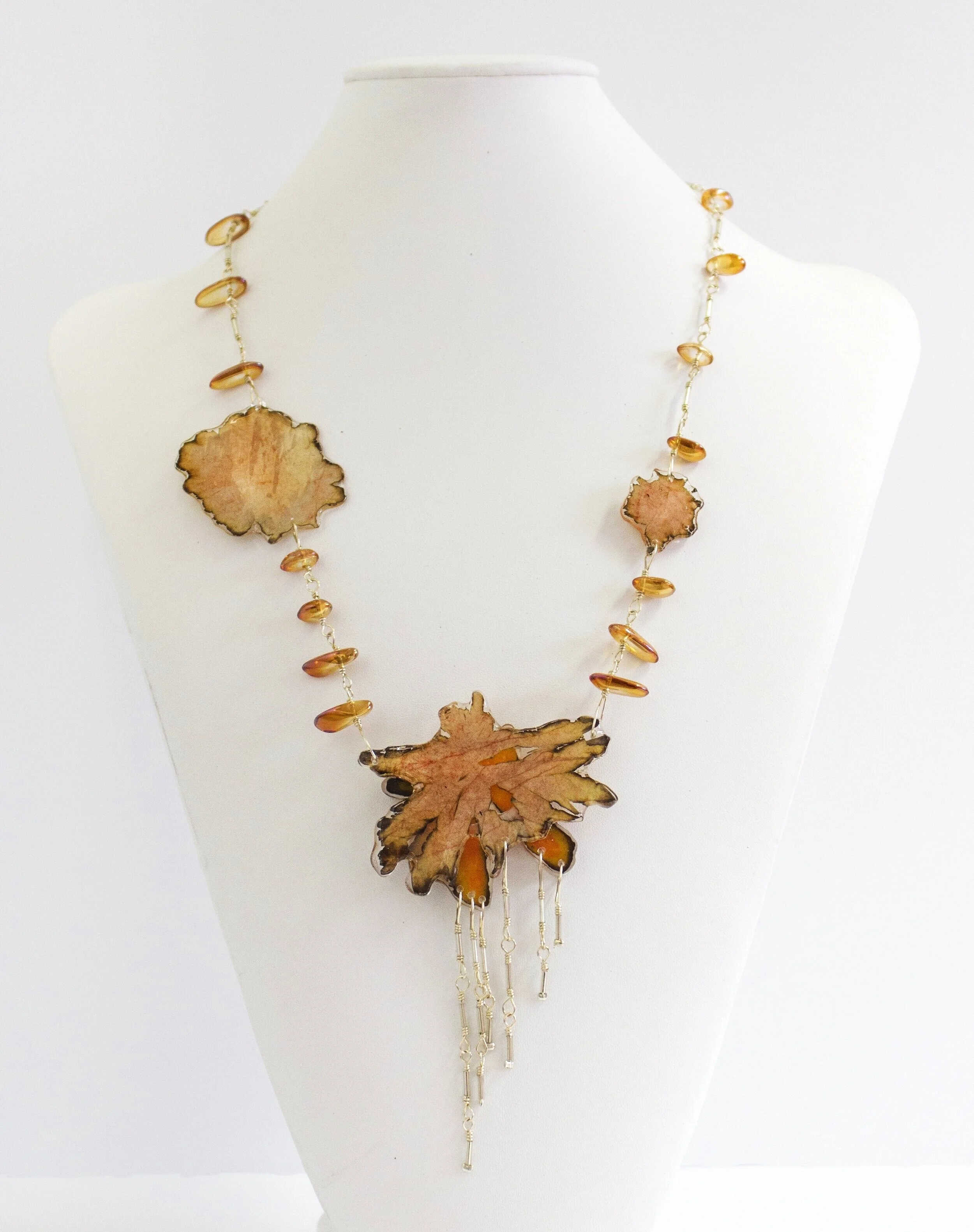 "Ancient Shell" 2019