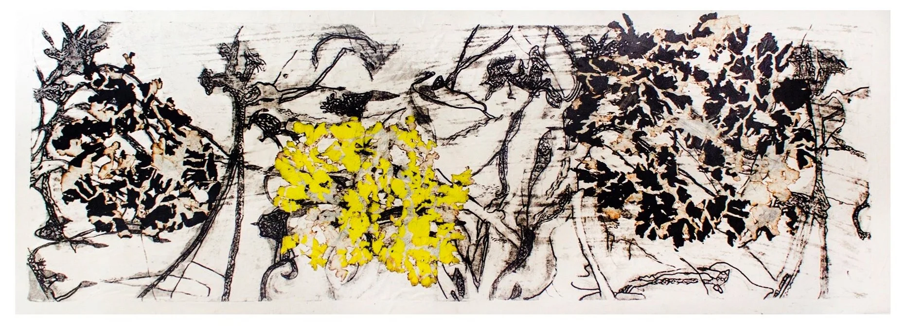 "Mangrove Clearing" 2019