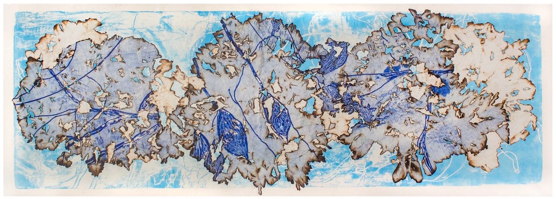 "Mangroves from Above-Blue" 2019