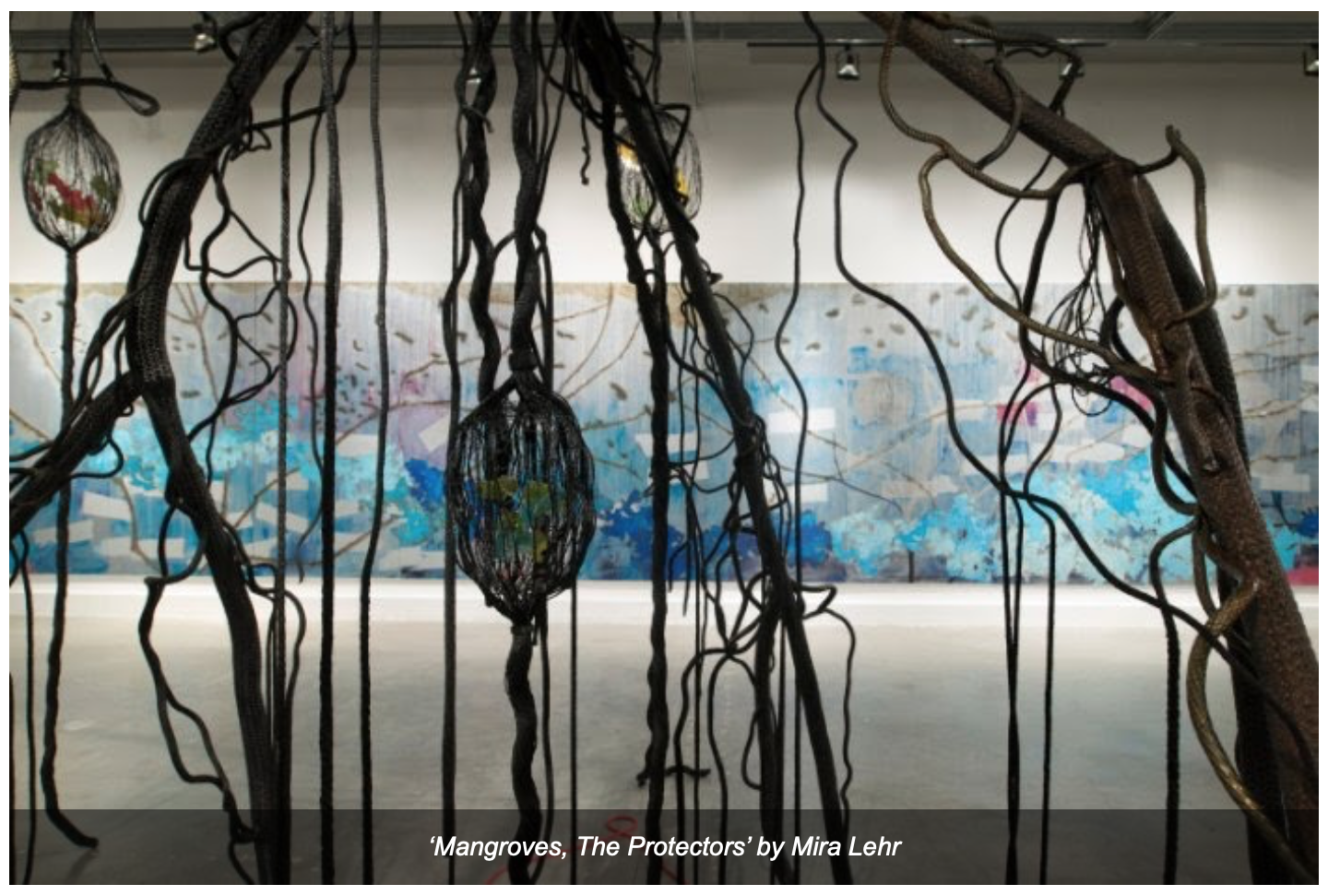 Screen Shot 2020-01-15 at 12.33.11 PM.png