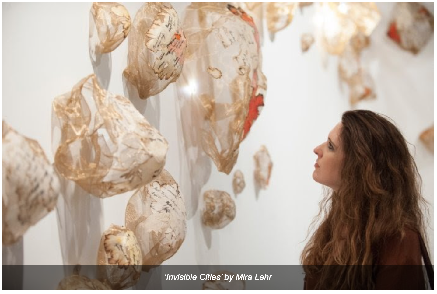 Screen Shot 2020-01-15 at 12.36.10 PM.png