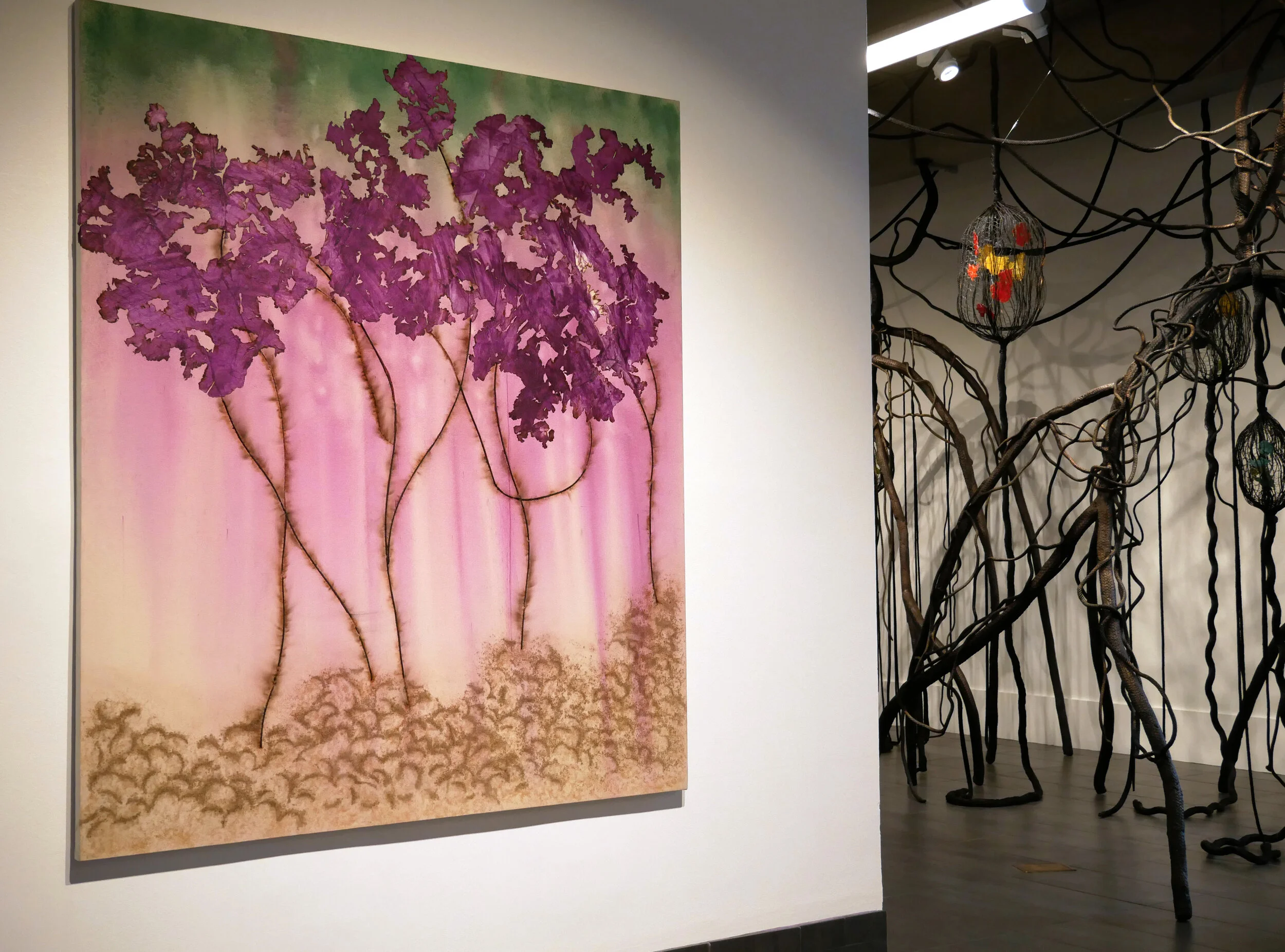 Magenta and Green Mangroves in The Mennello Museum of American Art