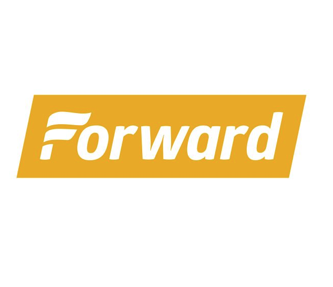 Artist Mira Lehr on Buckminster Fuller, the environment and blowing things up - Forward